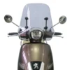Parabrezza Fabbri 3158/LD Fumé