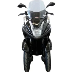 Parabrezza Fabbri 3163/LD Fumé