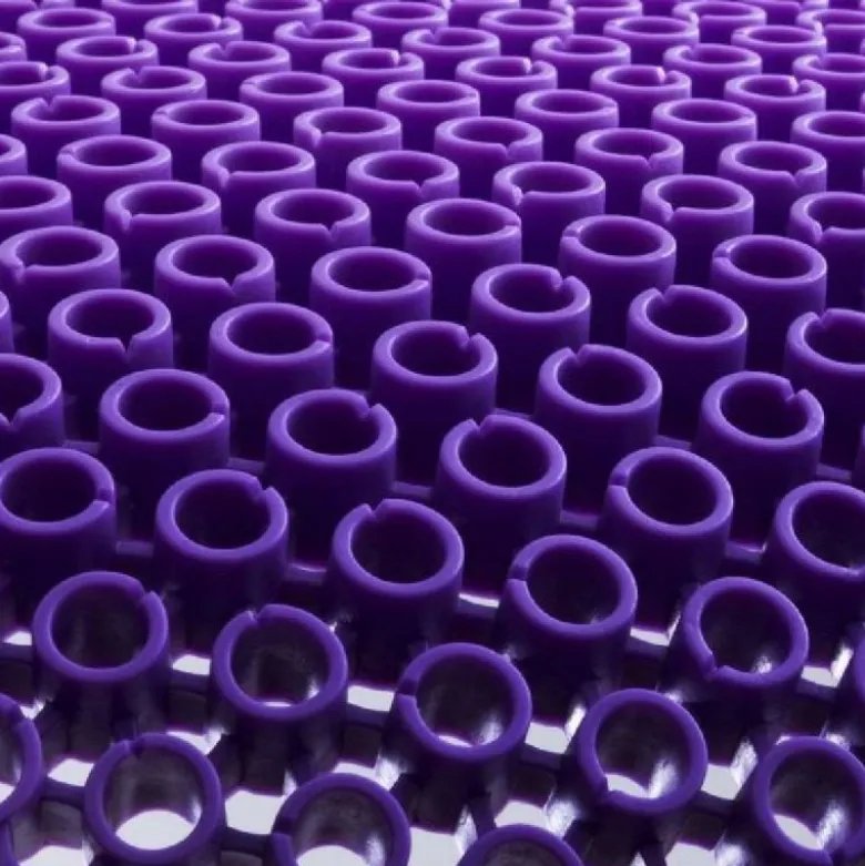 Protezione Paraschiena Rebelhorn Rezro Mk1-Bps2 Livello 2 Viola
