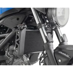 Protezione Radiatore Givi PR3111