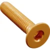 Vite Testa Piana Svas. Erg. Cl 005 M8 L. 45 Oro 005M8045ORO Lightech